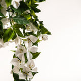 NNEDSZ White Artificial Bougainvillea Plant UV Resistant 90cm