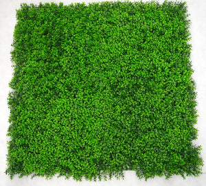 NNEDSZ Buxus Panels UV Stabilised 1m X 1m