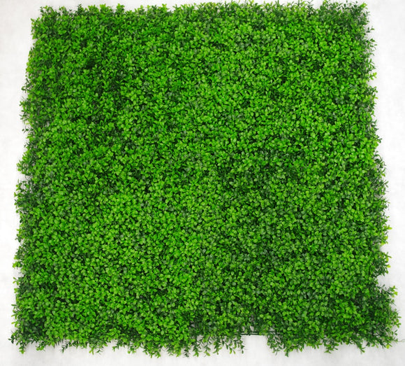 NNEDSZ Buxus Panels UV Stabilised 1m X 1m