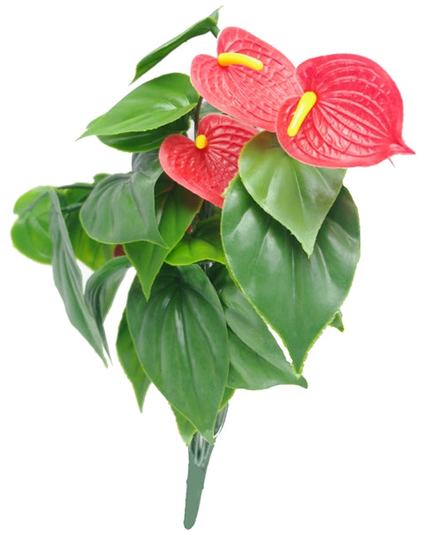 NNEDSZ Anthurium Bunch UV