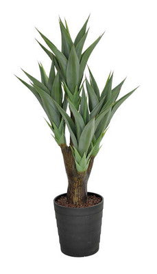 NNEDSZ Agave Plant 100cm