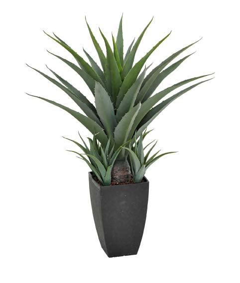 NNEDSZ Agave 73cm In A Decorative Black Pot