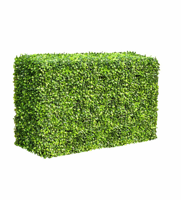 NNEDSZ Boxwood Hedge 1m Long 50cm High 30cm Deep