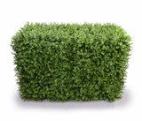 NNEDSZ Portable Buxus Hedges UV Stabilised 100cm Long X 55cm High