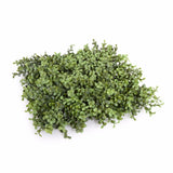 NNEDSZ Portable Buxus Hedges UV Stabilised 100cm Long X 55cm High