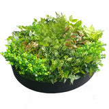 NNEDSZ Green Wall Disk Art 80cm - Mixed Fern