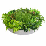 NNEDSZ Green Wall Disk Art 80cm - Mixed Fern