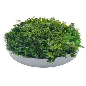 NNEDSZ Green Wall Disc Art 100cm Dark Aloe Vera (Fresh White)