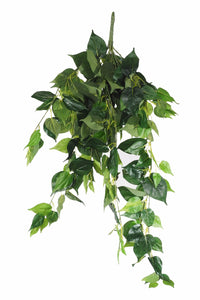 NNEDSZ Philodendron Garland Bush 100cm