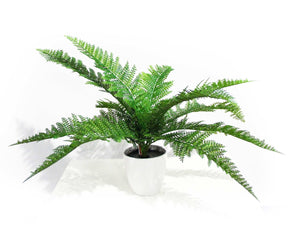 NNEDSZ Fern Stem 45cm