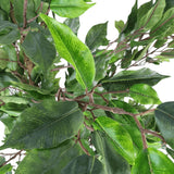 NNEDSZ Potted Ficus Tree 160cm