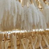NNETM Real Touch Dried Flower Set - 50pcs Artificial Rabbit Tail Reed Set (90cm)