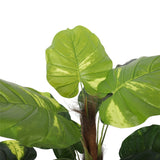 NNEDSZ Potted Pothos Plant with Pole 100cm