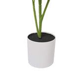 NNEDSZ Potted Grape Vine Tree 70cm