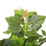 NNEDSZ Potted Grape Vine Tree 70cm