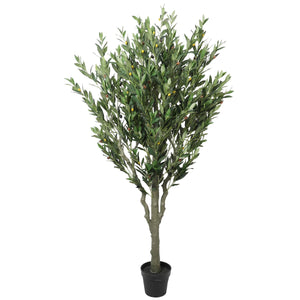 NNEDSZ Bushy Olive Tree with Olives 180cm