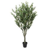 NNEDSZ Bushy Olive Tree with Olives 180cm