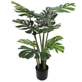 NNEDSZ Philodendron (Split Leaf) 120cm