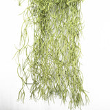 NNEDSZ Air Plant Spanish Moss - Old Man Beard 60cm