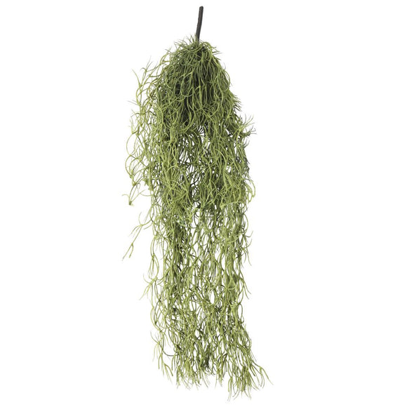 NNEDSZ Air Plant Spanish Moss - Old Man Beard 60cm