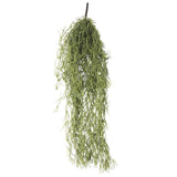 NNEDSZ Air Plant Spanish Moss - Old Man Beard 60cm