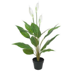 NNEDSZ Flowering White Peace Lily / Calla Lily 95cm
