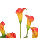 NNEDSZ Flowering White & Orange Peace Lily / Calla Lily Plant 50cm