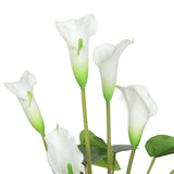 NNEDSZ Flowering White Peace Lily / Calla Lily Plant 50cm