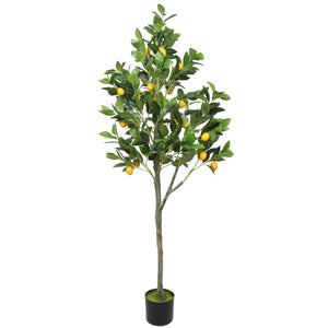 NNEDSZ Lemon Tree (Potted) with Lemons 150cm