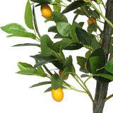 NNEDSZ Lemon Tree (Potted) with Lemons 150cm