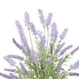 NNEDSZ Lavender Plant 40cm