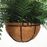 NNEDSZ Fern Hanging Basket (Fresh Green) UV Resistant 55cm