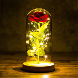 NNETM Eternal Rose LED Light Foil Flower in Glass Cover(Red)
