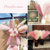 NNETM Set of 3 Artificial Pampas Grass Stems (43.18cm) - Blush, Cream & Pink Gradient