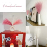 NNETM Set of 3 Artificial Pampas Grass Stems (43.18cm) - Blush, Cream & Pink Gradient