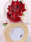 NNESN Luminous Christmas Gift Box: Eternal Golden Rose & Glass Cover (Red)