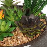 NNEDSZ Artificial Succulents with Round Decorative Bowl 19cm