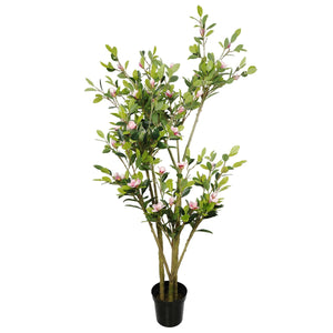 NNEDSZ Flowering Pink Magnolia Tree with Pot 250cm