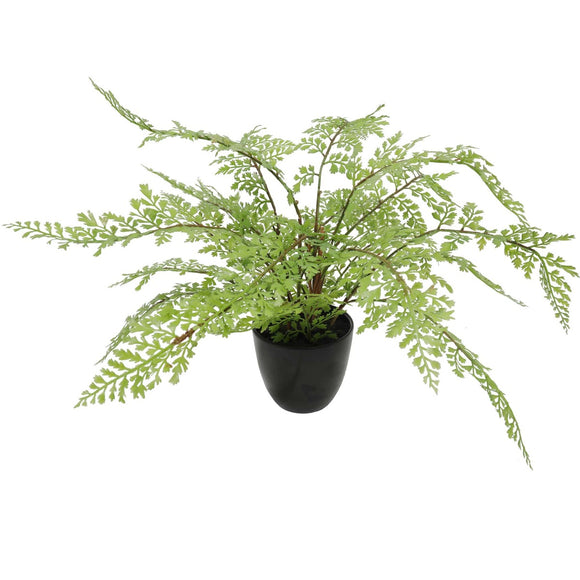 NNEDSZ Small Potted Fern 35cm