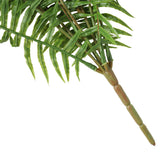 NNEDSZ Fern (Lady Fern) 50cm UV Resistant