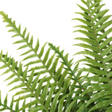 NNEDSZ Fern (Lady Fern) 50cm UV Resistant