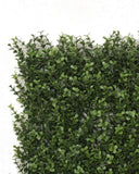 NNEDSZ Natural Buxus Hedge Panels UV Resistant 1m x 1m