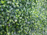 NNEDSZ Boxwood Hedge Panels / Screens UV Resistant 1m x 1m
