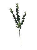 NNEDSZ Pack - Long Eucalyptus Stem 77 cm