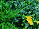 NNEDSZ Rose Vertical Garden / Green Wall UV Resistant Sample