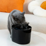 NNETM Smart USB-Powered 2.2L Pet Water Fountain for Cats and Dogs - Black