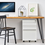 NNECW 3-Drawer Rolling File Cabinet with 2 Keys and Handles-White