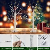 NNETM 24LT 60.96cm Lighted Birch Tree - Warm White Christmas Lights