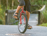 NNEDSZ Pro Circus Unicycle Bike