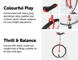 NNEDSZ Pro Circus Unicycle Bike